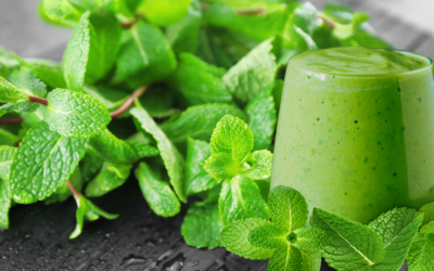 My Dreamy Creamy Minty Lectin-Free Smoothie