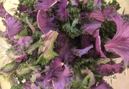 Purple and Green Kale