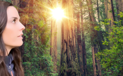The Healing Powers of Mother Nature: Mind, Body, & Spirit
