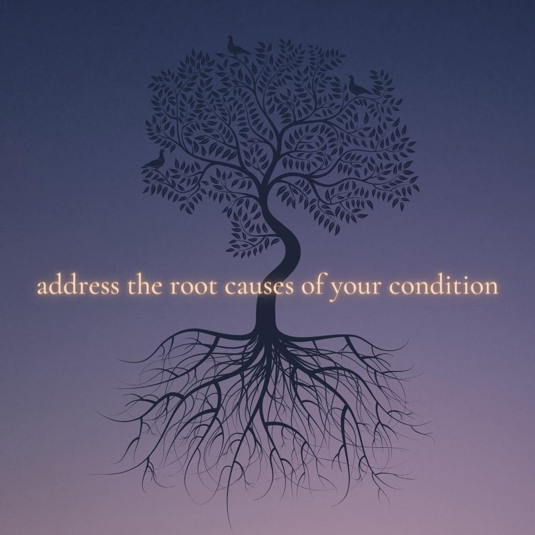 root causes of inflammation and disease. Tree with roots. As above so below.