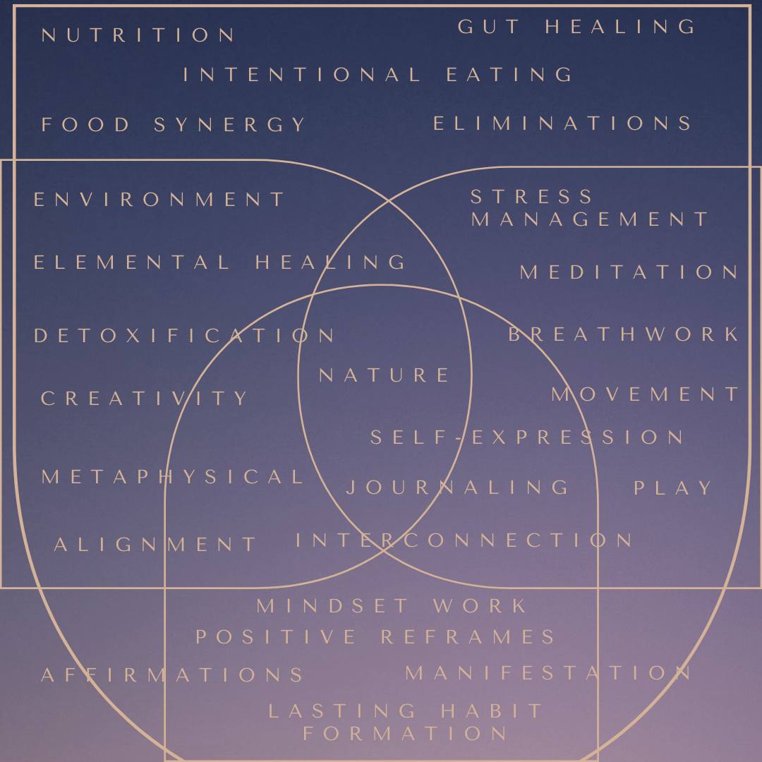 Holistic methodology for chronic illness autoimmune disease, chronic illness holistic methodology to self-heal